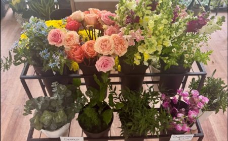 Why Shadyside PA Locals Love Their Neighborhood Florist