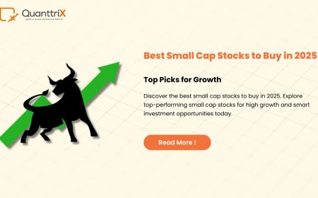 Top Small Cap Stocks to Buy in India 2025