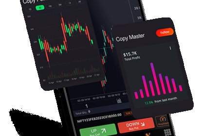 Exploring the Best Forex Brokers for Beginners: Features and Reviews