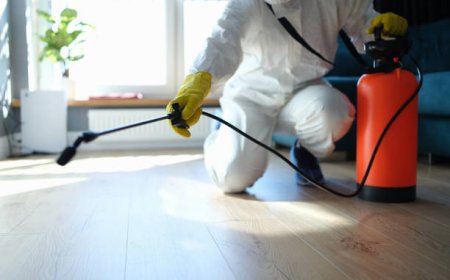 Toronto Pest Control Services | BP Pest Control - Same-Day Removal