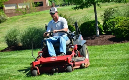 The Cost of Lawn Mowing Services: What to Expect