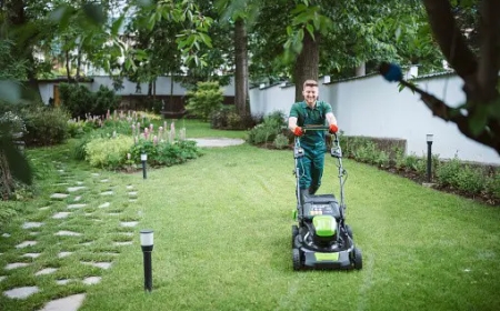 Lawn Mowing Services: A Homeowner’s Guide to Year-Round Care