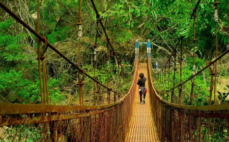 Guwahati Shillong Tour Package – Explore the Beauty of Northeast India