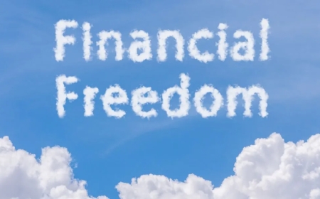 Top 5 Loan Settlement Companies in India – Your Guide to Financial Freedom