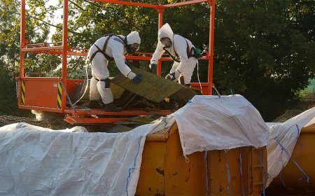 Asbestos Removal Services in Walford, Iowa: Ensuring Safe and Clean Environments