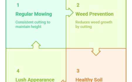 How Lawn Mowing Services Can Prevent Weed Growth.