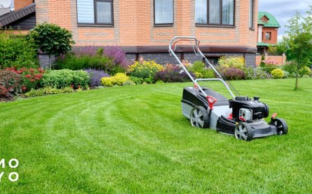 How Much Do Pest Control Services Cost in 2025?