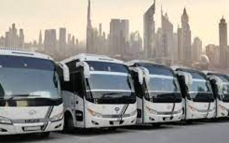 Mini Bus vs. Full-Size Bus Rental in Dubai – What’s Right for You?