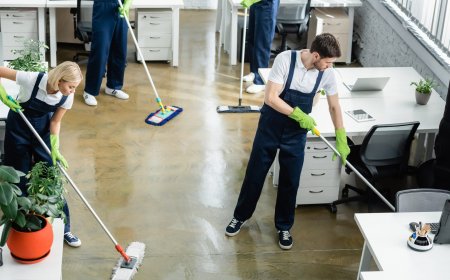 Commercial Carpet Cleaning in Canada - Keep Your Business Fresh & Clean