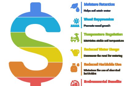 Eco-Friendly Lawn Care in Vancouver: Sustainable Tips