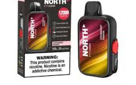 North FT12000 Vape: Does It Match Style with Substance?