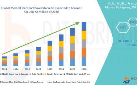 Medical Transport Boxes Market Size, Share, Trends, Key Drivers, Growth Opportunities and Competitive Outlook