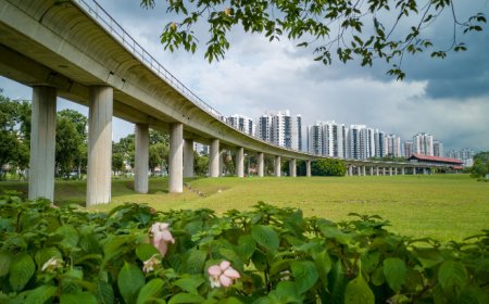 Real Estate Investment Near MRT Singapore: A Smart Move for Long-Term Gains