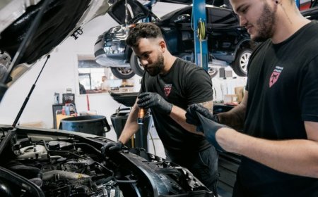 How to Prepare Your European Car for a Florida Road Trip