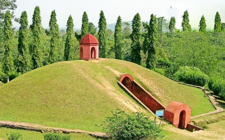 Know How Many World Heritage Sites in Assam You Can Visit