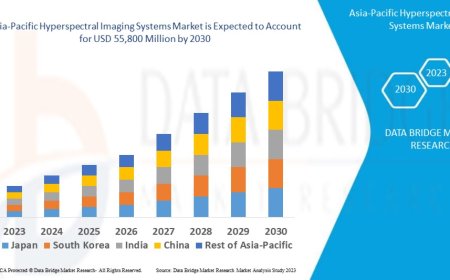 Asia-Pacific Hyperspectral Imaging Systems Market: Size, Share, and Future Growth