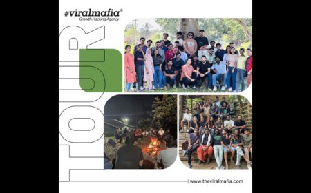 Why Viral Mafia is the Leading Digital Marketing Agency in Kerala