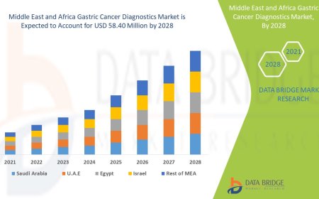Middle East and Africa Gastric Cancer Diagnostics Market: Trends and Growth Opportunities