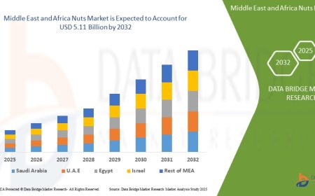 Middle East and Africa Nuts Market Growth and Future Trends