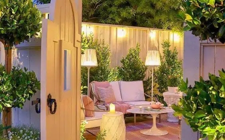 Create a Tranquil Backyard Retreat with Accent Lighting