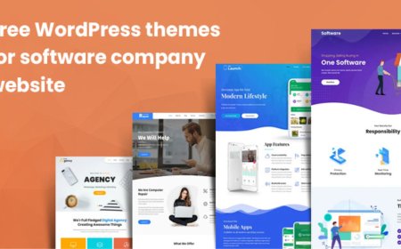 Is a Free Software WordPress Theme Good Enough?