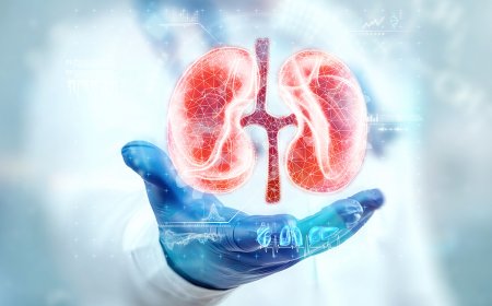 Top Signs You Need to See a Kidney Stone Specialist in Jaipur