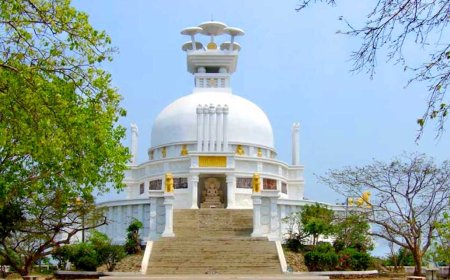 Discover Peace and History at the Dhauli Shanti Stupa