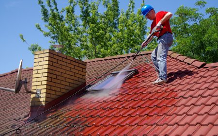Top-Rated Roof Moss Removal in Medford, OR: Safe, Reliable & Long-Lasting Solutions