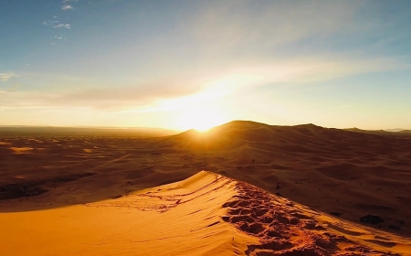 Sunrise Desert Safari: A Peaceful Start to Your Day