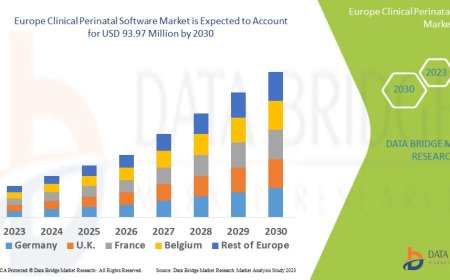 Europe Clinical Perinatal Software Market Scope: Growth, Share, Value, Size, and Analysis