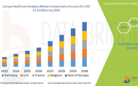 Europe Healthcare Analytics Market Growth Drivers: Share, Value, Size, and Insights