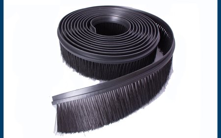 The Best and Amazing Strip Brushes