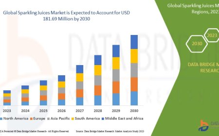 Sparkling Juices Market: Trends, Analysis, and Competitive Landscape 2023 –2030