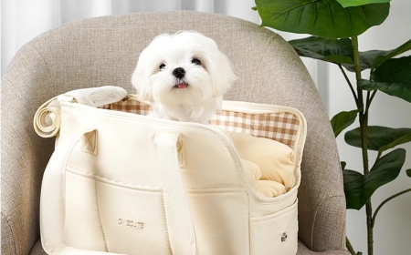 The Ultimate Guide to Choosing the Right Puppy Car Carrier