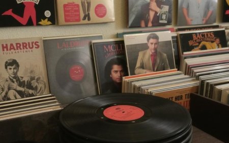 Rare Protest Records Worth Hunting