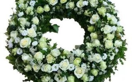 How the Mexico Flag Changed Over Time