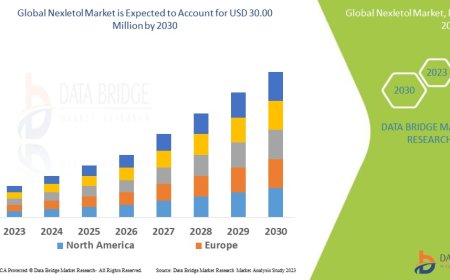 Nexletol Market Research Report: Share, Growth, Trends and Forecast By 2030