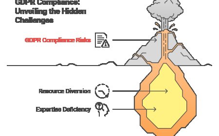 GDPR Compliance Consulting vs. DIY Approach: What’s Best?