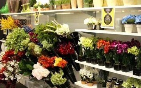 Florist Tips: Preserving Flowers Toronto Style