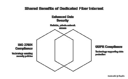 GDPR Compliance Consulting and the Road to ISO 27001 Certification.