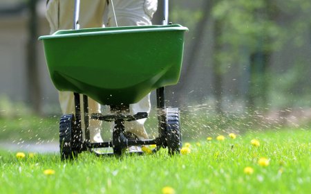 Why Regular Pest Control Services Save You Money in the Long Run.