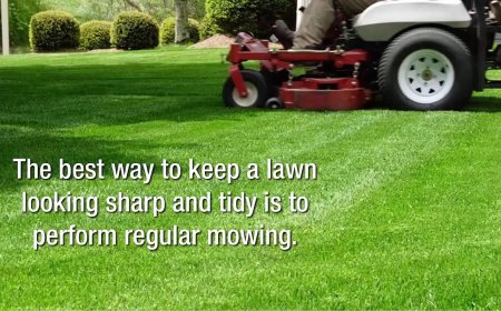 What to Expect During Your First Pest Control Service Visit