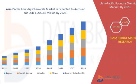 Asia-Pacific Foundry Chemicals Market Competitive Forecast and Growth Analysis 2028