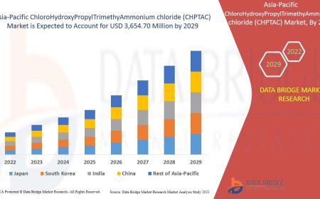 Asia-Pacific ChloroHydroxyPropylTrimethyAmmonium chloride (CHPTAC) Market Competitive Forecast and Growth Analysis 2029