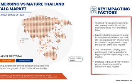 Thailand Talc Market Competitive Forecast and Growth Analysis 2029