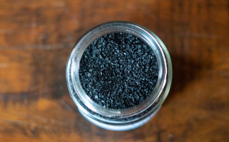 Activated Carbon Filters Market 2025: Cleaner Air, Clearer Future