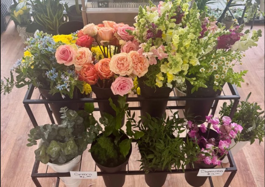 Why Shadyside PA Locals Love Their Neighborhood Florist