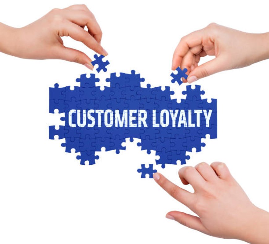 Top Loyalty Solution Providers for Customer Retention Success