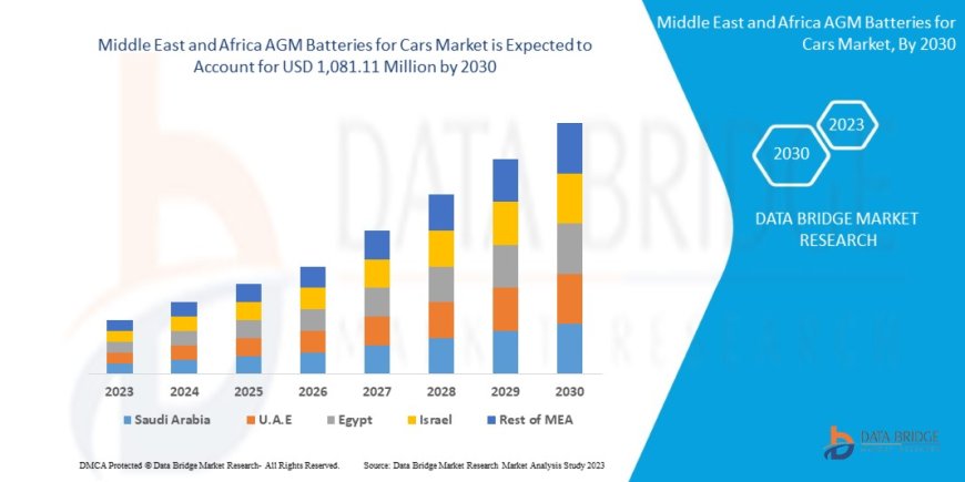 Middle East and Africa AGM Batteries for Cars Market: Insights and Competitive Analysis