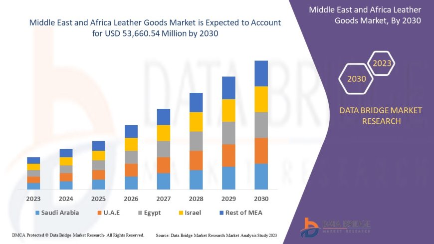 Middle East and Africa Leather Goods Market: Key Trends and Future to 2030Growth Forecast